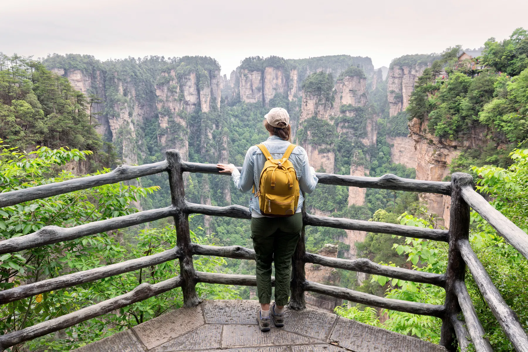 Traveller at a viewpoint over the pillar forest